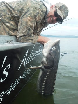 Catch & Release Sturgeon