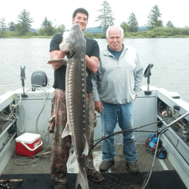 Sturgeon (catch and release)