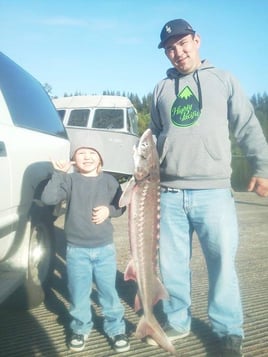 Sturgeon (catch and release)