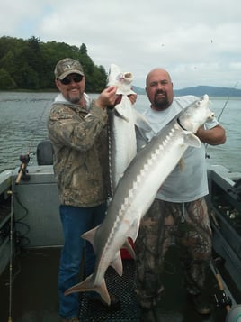 Columbia River Sturgeon Catch & Release