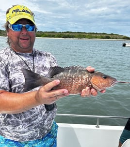 Port Canaveral Bottom Fishing Trip