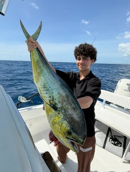 Deep Sea Sport Fishing Adventure