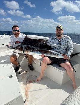 Deep Sea Sport Fishing Adventure