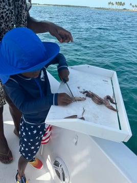 Half day fishing charter