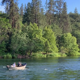 Salmon, Steelhead or Trout Drift Trip