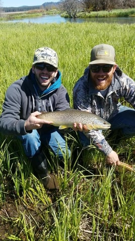 Salmon, Steelhead or Trout Drift Trip