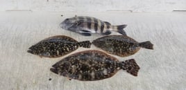 Jacksonville nearshore/ Offshore