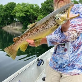 Spin Fishing the North Fork and White River