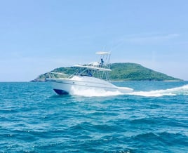 Mazatlan - Offshore Fishing, Mexico