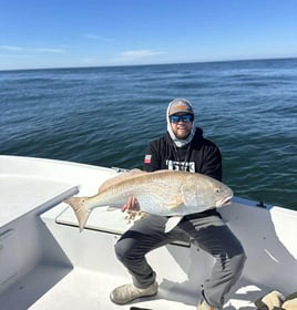 Inshore Fishing Trip