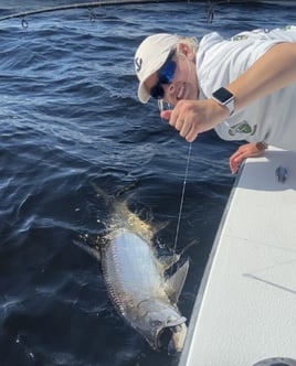 4-6 Hour Fishing Trip – Tarpon