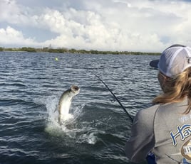 4-6 Hour Fishing Trip – Tarpon