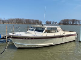 Full Walleye Charter – Lake Erie