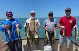 Full Day Trip – Lake Erie