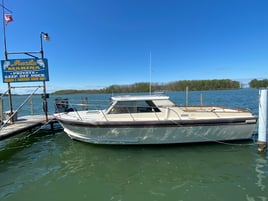 Full Walleye Charter – Lake Erie