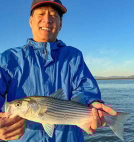 Hybrid Striped Bass Fishing in Napa, California