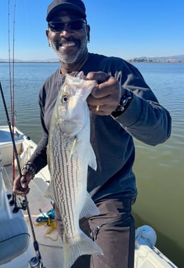 Hybrid Striped Bass Fishing in Napa, California