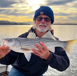 Hybrid Striped Bass Fishing in Napa, California