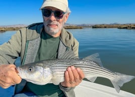Striped Bass Fishing in Napa, California
