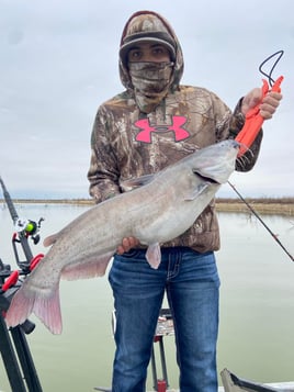 Blue Catfish Fishing in Zapata, Texas