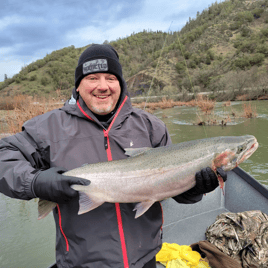 Winter Steelhead
