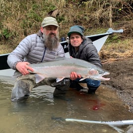 Winter steelhead