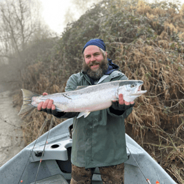 Winter steelhead