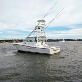 8 Hour Trip – Wreck Fishing