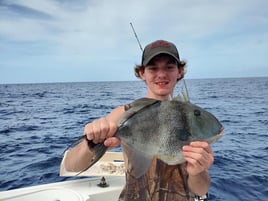 10 Hour Trip – Bottom Fishing