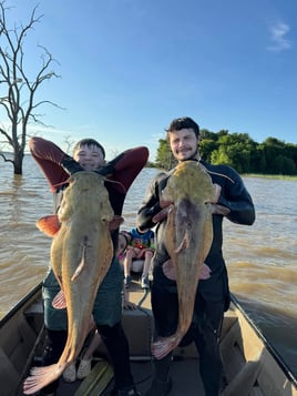 Arkansas Catfish Noodling