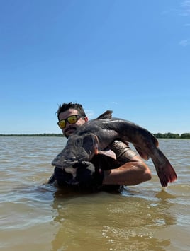 Arkansas Catfish Noodling