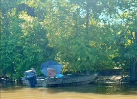 Arkansas Catfish Noodling