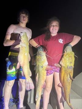 Full Day Catfish Noodling