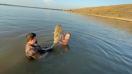 Full Day Catfish Noodling