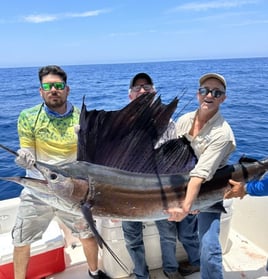 Best Damn Fishing Experience in San Carlos