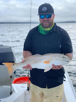 PCB Half Day Inshore