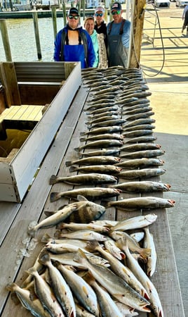 Venice Inshore charter