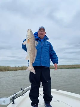 Venice Inshore charter