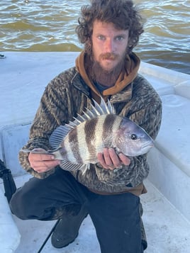 Sheepshead Chasing 3 Hour