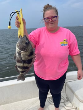 Sheepshead Chasing 3 Hour