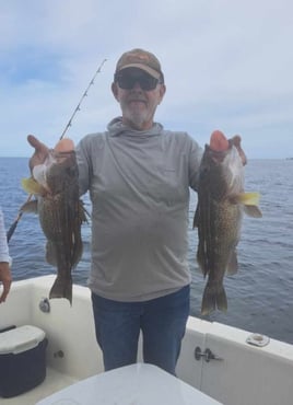 Bottom Fishing Extravaganza