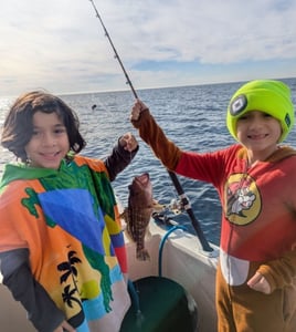 Bottom Fishing Extravaganza