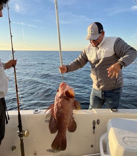 Bottom Fishing Extravaganza