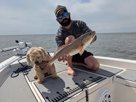 Redfish & Tripletail Excursion