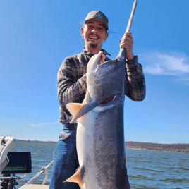 Spoonbill adventures