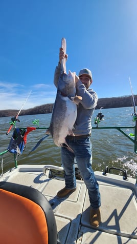 Spoonbill adventures