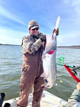 Spoonbill adventures