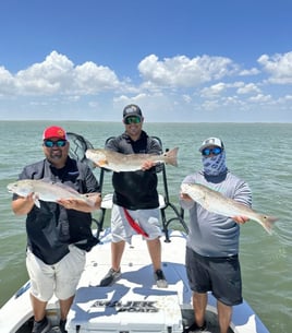 Inshore Fishing Trip