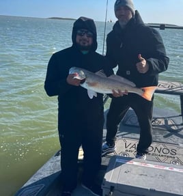 Inshore Fishing Trip