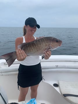 8-4 Hours Offshore Trip